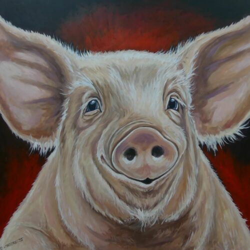Schwein mit rotem Hintergrund